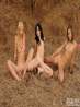 Три девчонки разделись на сеновале