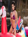 Сексапильная брюнетка с большой грудью Darcie Dolce снимает бикини выставляя раком дырки крутой попки